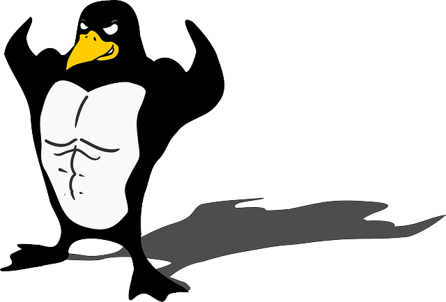 Windows+WSL2自建专属个人服务器